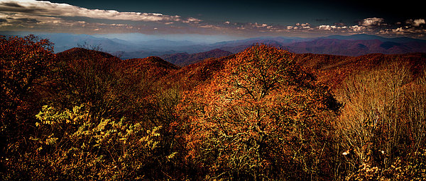Norma Brandsberg - Smoky Mountain Overlook in Autumn