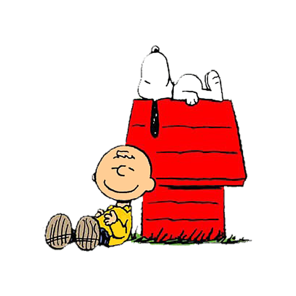 Snoopy And Charlie Brown Sleeping Tapestry For Sale By Wily Alien