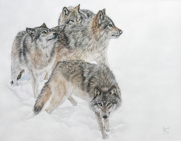 Animal Art