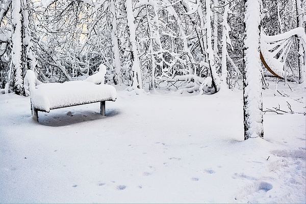 Snow Art