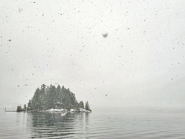 Adam Copp - Snowing on the Lake - Sproat Lake