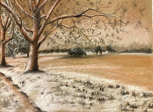 Sharron Knight - Snowy landscape 