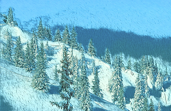 Eckart Mayer Photography - Snowy mountain ridge trees