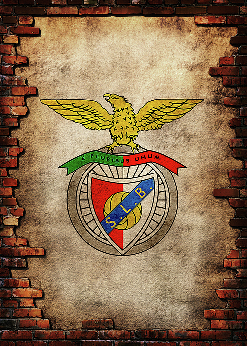 Benfica Stuff on X: Hoje não é um dia qualquer Hoje joga o