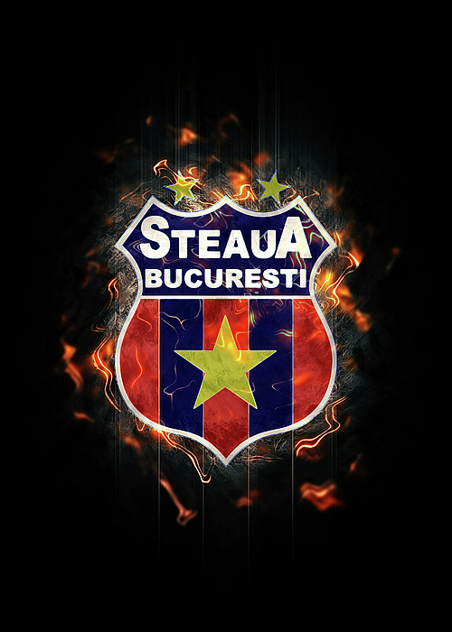 Soccer League Brick FC Steaua Bucuresti Poster by Leith Huber - Fine Art  America