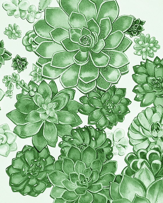 Irina Sztukowski - Soft Green Succulent Plants Garden Watercolor Interior Art II