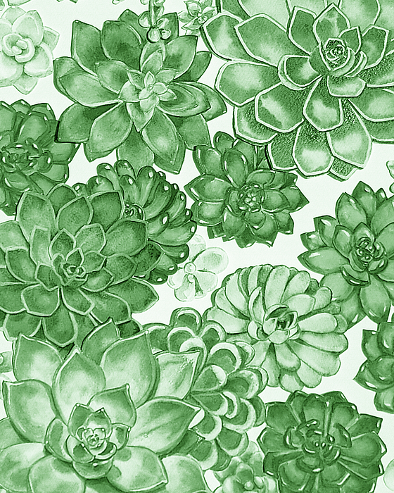 Irina Sztukowski - Soft Green Succulent Plants Garden Watercolor Interior Art III