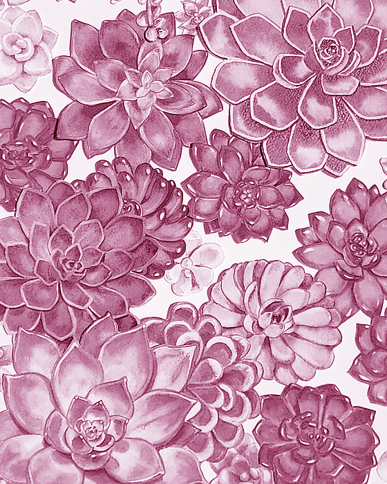 Irina Sztukowski - Soft Pink Succulent Plants Garden Watercolor Interior Art III