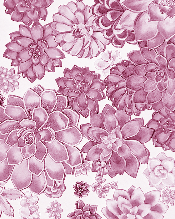 Irina Sztukowski - Soft Pink Succulent Plants Garden Watercolor Interior Art IV
