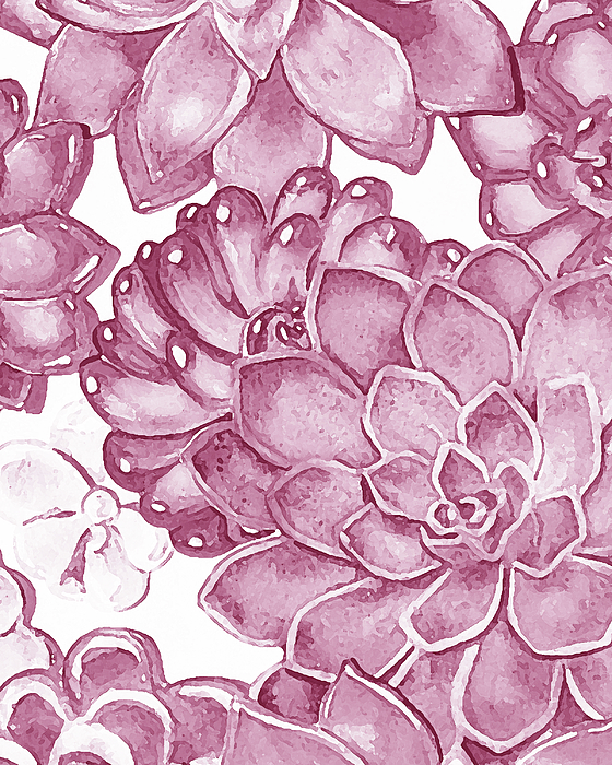 Irina Sztukowski - Soft Pink Succulent Plants Garden Watercolor Interior Art V