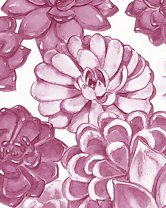 Irina Sztukowski - Soft Pink Succulent Plants Garden Watercolor Interior Art VII