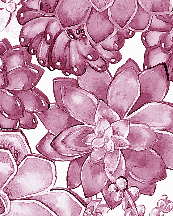 Irina Sztukowski - Soft Pink Succulent Plants Garden Watercolor Interior Art VIII