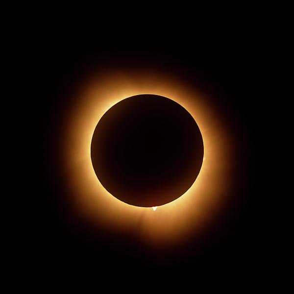 Dale Kincaid - Solar Eclipse Corona 2024