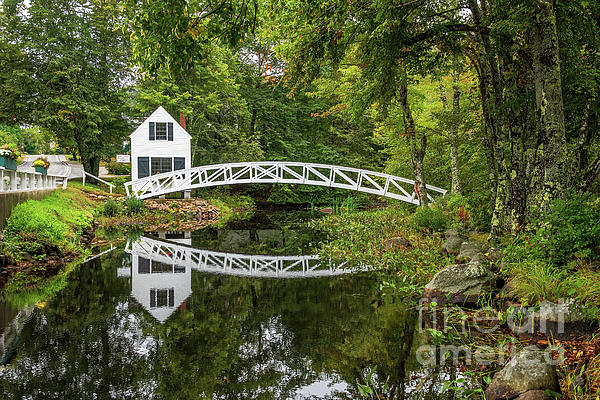 Bridge Art
