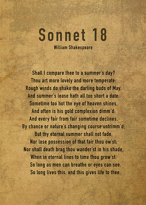 Sonnet 18 By William Shakespeare Classic Poem Iconic Poetry On Old 