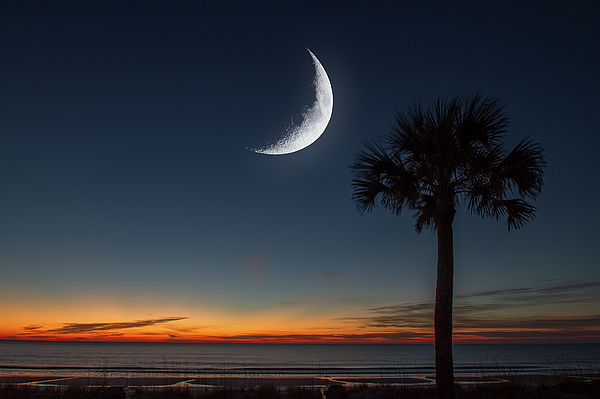 Steve Rich - South Carolina - Myrtle Beach Sunrise