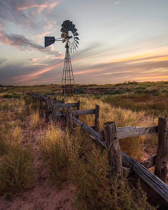 Desert Photographs