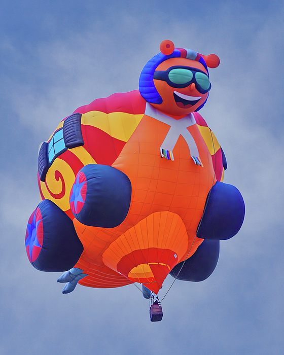 https://images.fineartamerica.com/images/artworkimages/medium/3/speedy-snail-hot-air-balloon-nikolyn-mcdonald.jpg