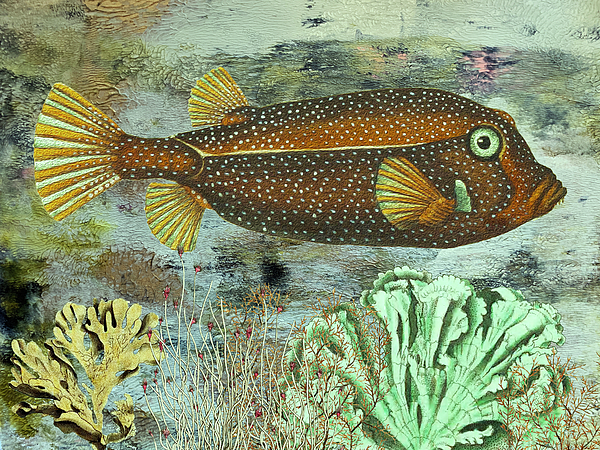 Lorena Cassady - Spotted Brown Fish