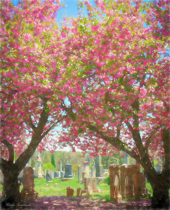 Kathi Isserman - Spring at Congressional Cemetery