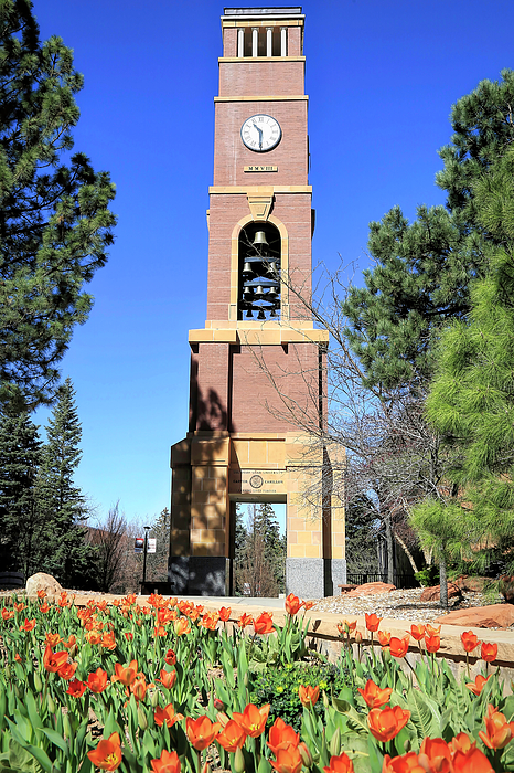 Donna Kennedy - Spring at Southern Utah University
