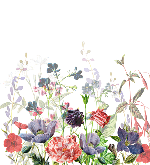 Wildflower Vases T-shirt Watercolor Flowers Geometric Design 