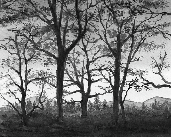 https://images.fineartamerica.com/images/artworkimages/medium/3/spring-forest-trees-silhouette-landscape-in-black-white-gray-watercolor-irina-sztukowski.jpg