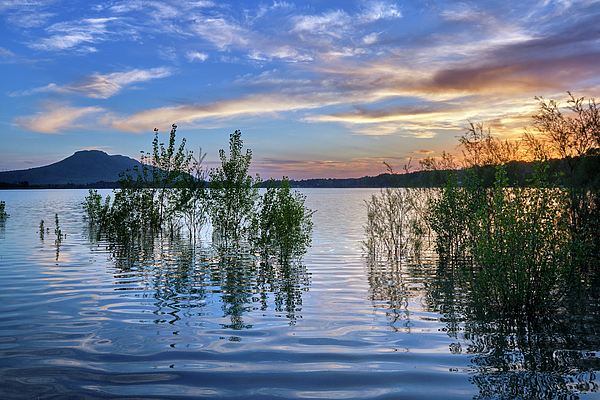 Guido Montanes Castillo - Spring time. At the lake. At sunset. Spain