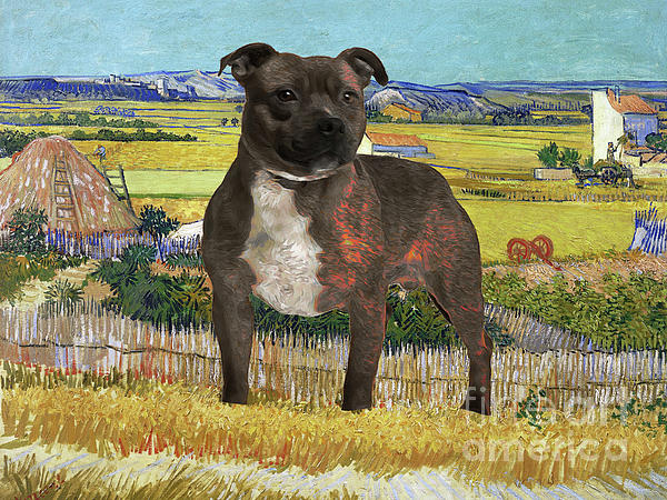 Staffordshire Bull Terrier Dog Staffy - Jigsaw Puzzle