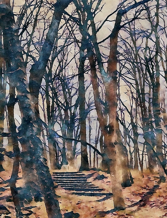 Elizabeth Austin - Stairs in the Woods 