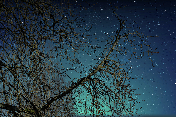 Gerald Mettler - Starry Starry Night