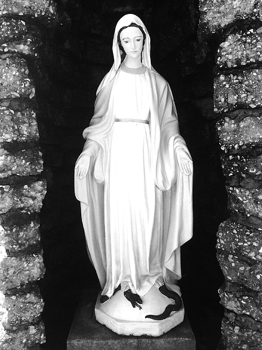 Monochrome Art