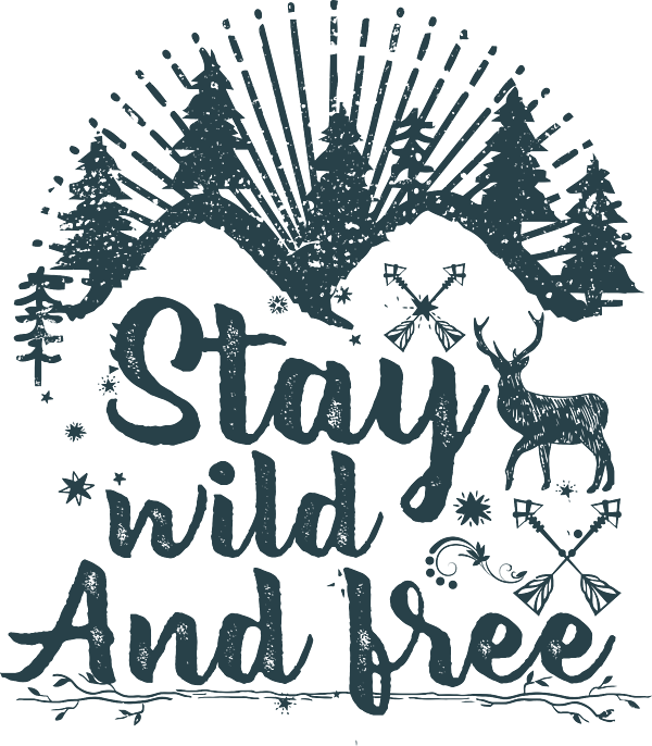 stay free Stay weird stay wild Set of 3 motivational quote prints