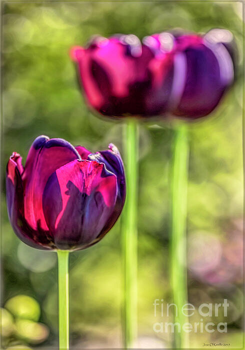 Spring Art