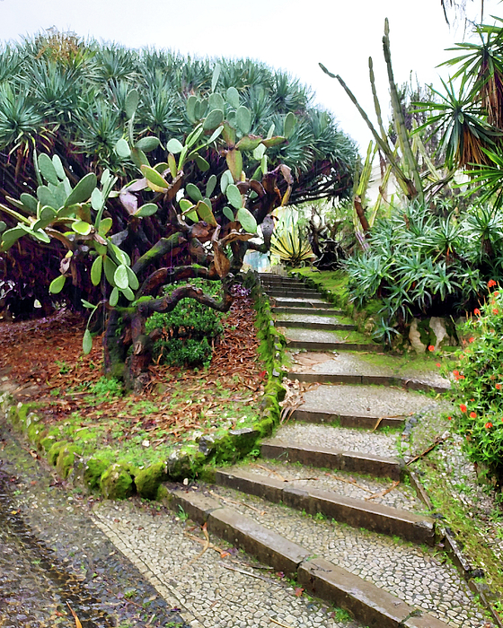 Irina Sztukowski - Steps Of Botanical Garden Old Lisbon Historical Downtown Portugal 