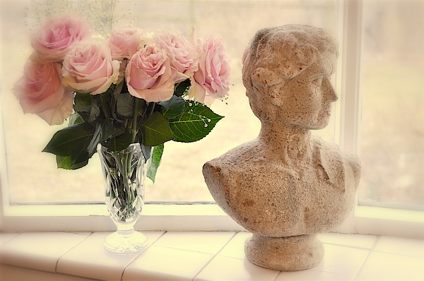 Still Life With Pale Pink Roses Photograph