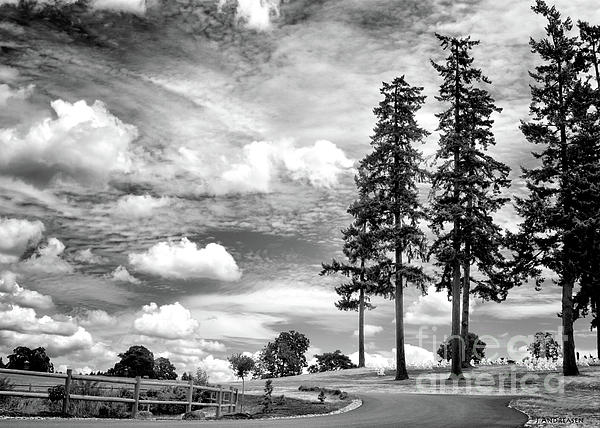 Jack Andreasen - Stoller Vineyard And Winery Entrance - Black And White