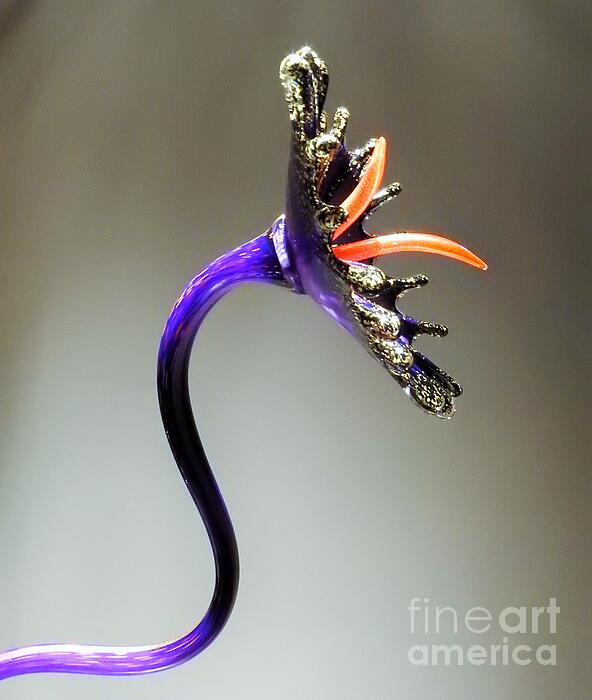 Tina M Powell - Striking Glass Flower