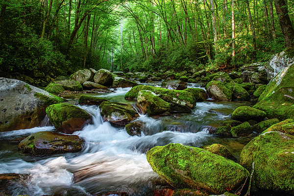 Robert J Wagner - Stunning Big Creek
