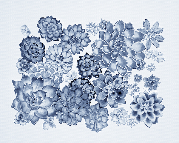 Irina Sztukowski - Succulent Plants Wall Contemporary Garden Design In Blue  
