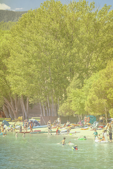 Summer Photographs