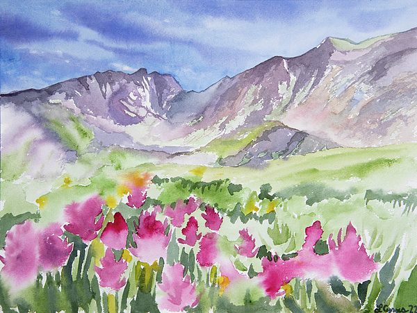 Wildflower Art