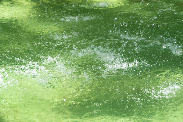 Georgia Mizuleva - Summery Fountain Abstract in Emerald and Jade Greens