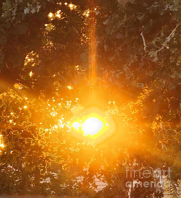 Karen Conger - Sun Bursting Through The Trees