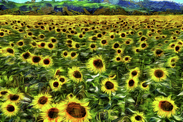 Sunflower Field Vincent Van Gogh iPhone 13 Case by David Pyatt - Fine Art  America