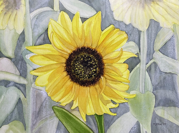 Mary Jane Jerus - Sunflower
