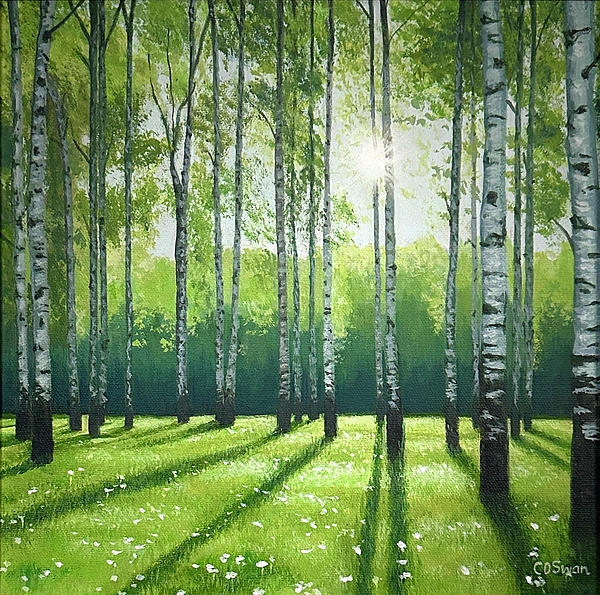 Sunlight Art