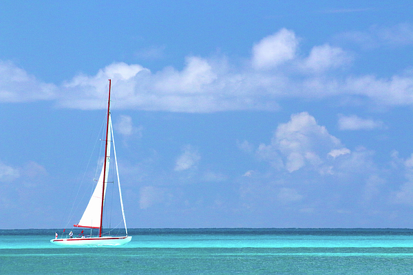 Ron Berezuk - Sunny Sailing - St. Maarten