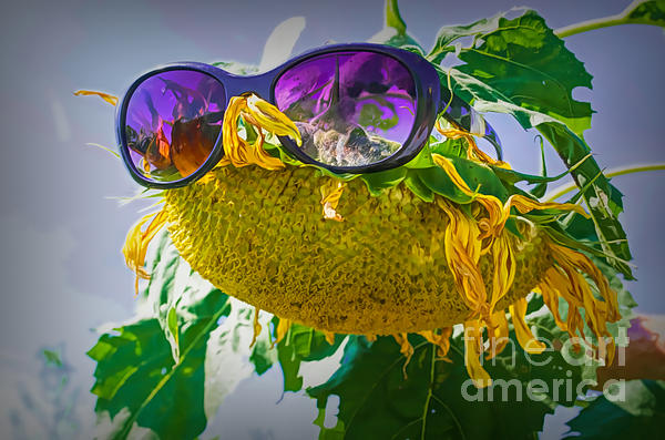 Luther Fine Art - Sunny Side Up In The Sunflower Maze