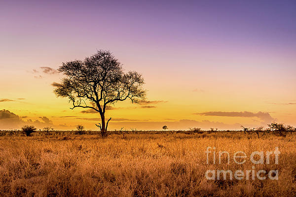 Harry Beugelink - Sunrise in Kruger Park, South Africa